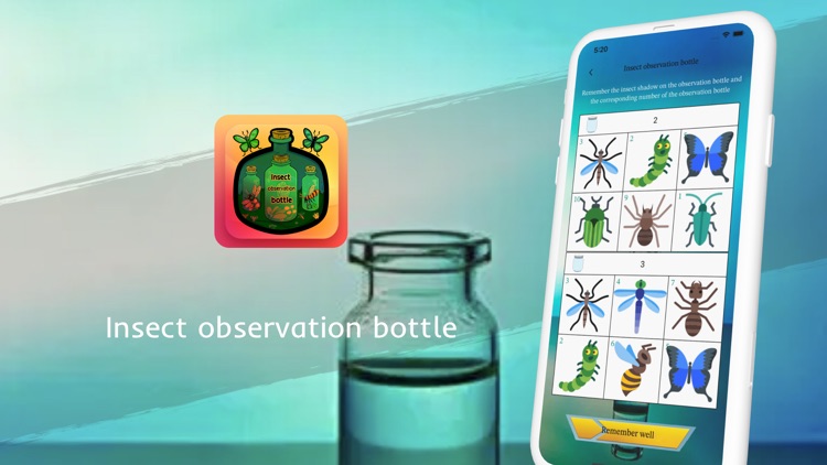 Insect observation bottle