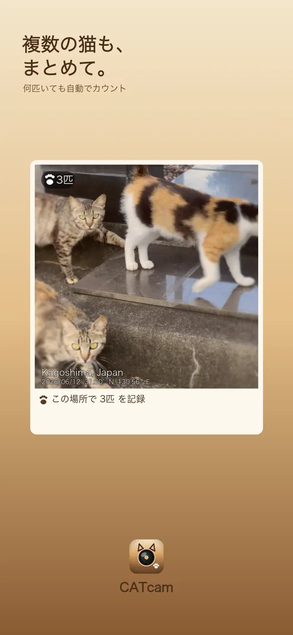 Screenshot #2 pour CATcam 猫マップカメラ
