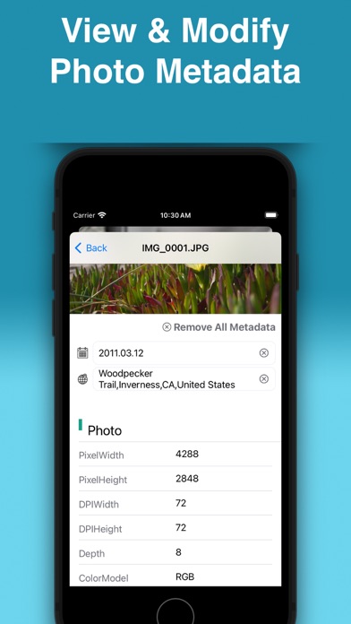 Auto Blur Faces: Photo & Video Screenshot
