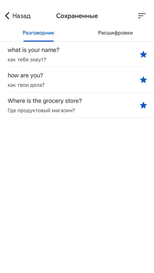 Скриншот Google Переводчик на iPhone 6