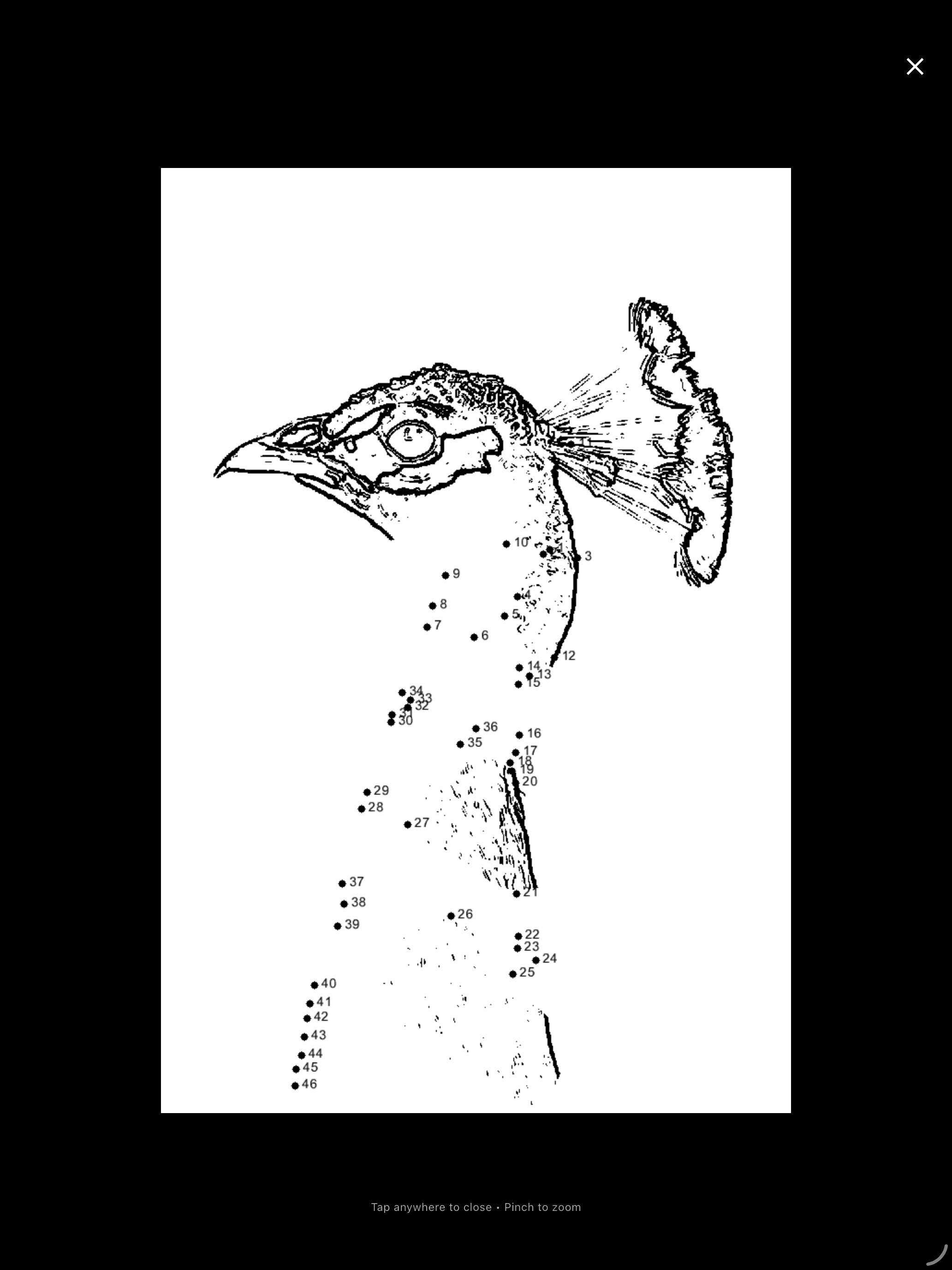 Dot Studio: Dot to Dot Maker