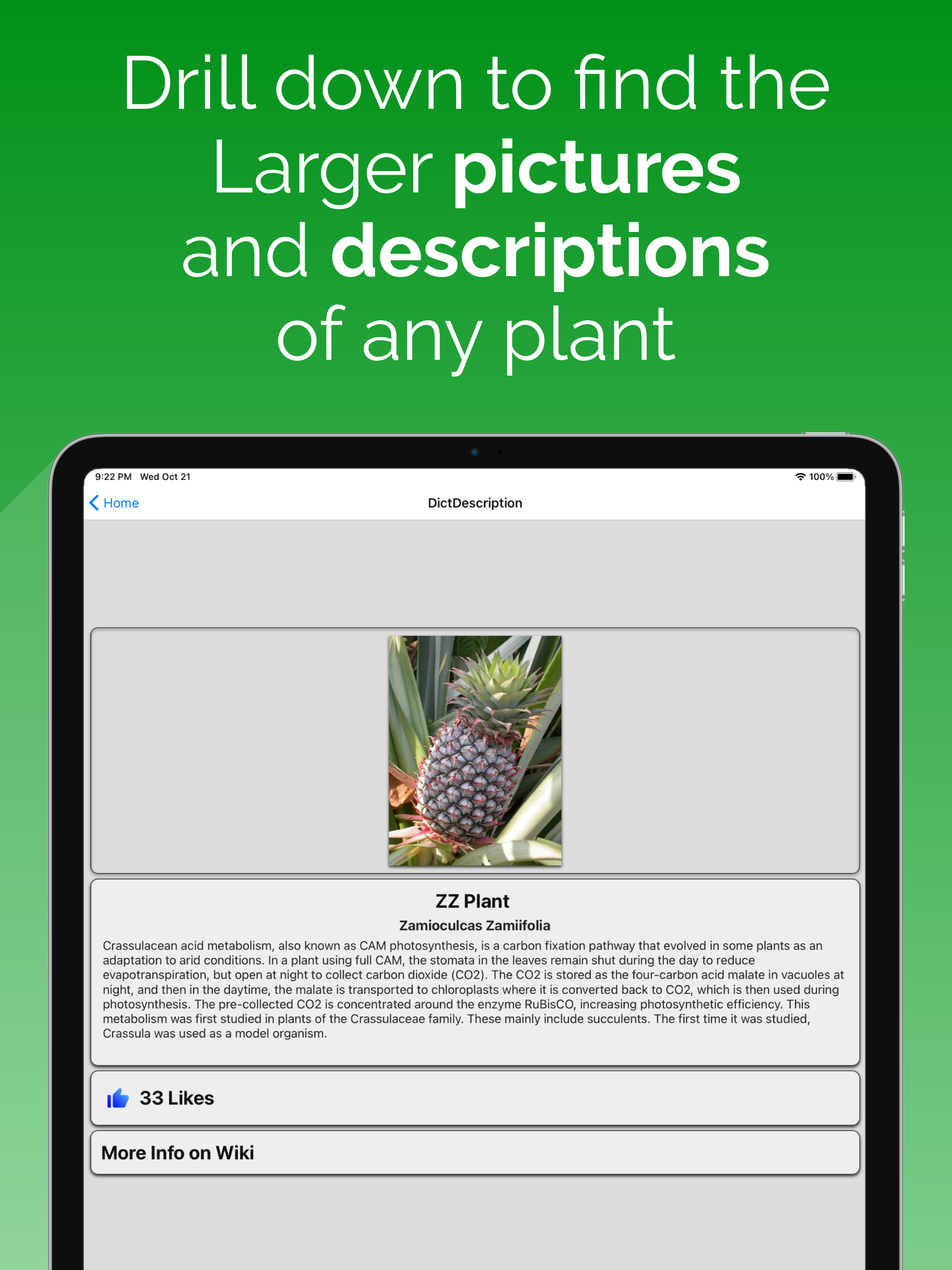 House Plant Dictionary screenshot 5