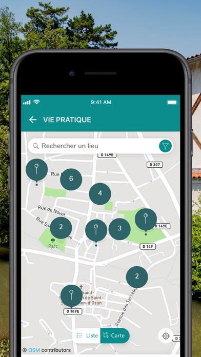 Saint-Symphorien-d'Ozon Screenshot