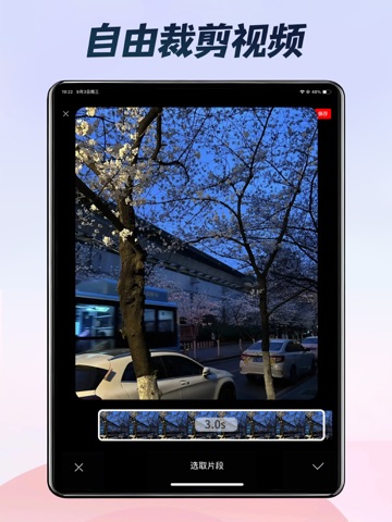 实况壁纸制作器-一键视频转实况&live图动态壁纸制作 iPad screenshot