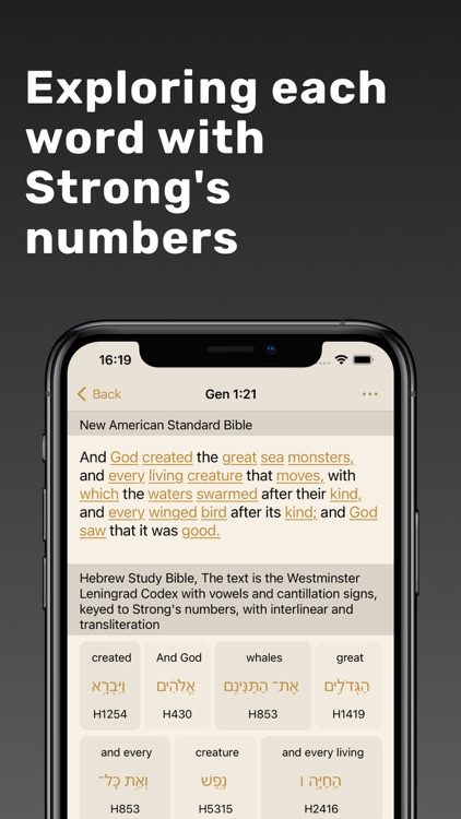 Study Bible with Commentaries screenshot-3