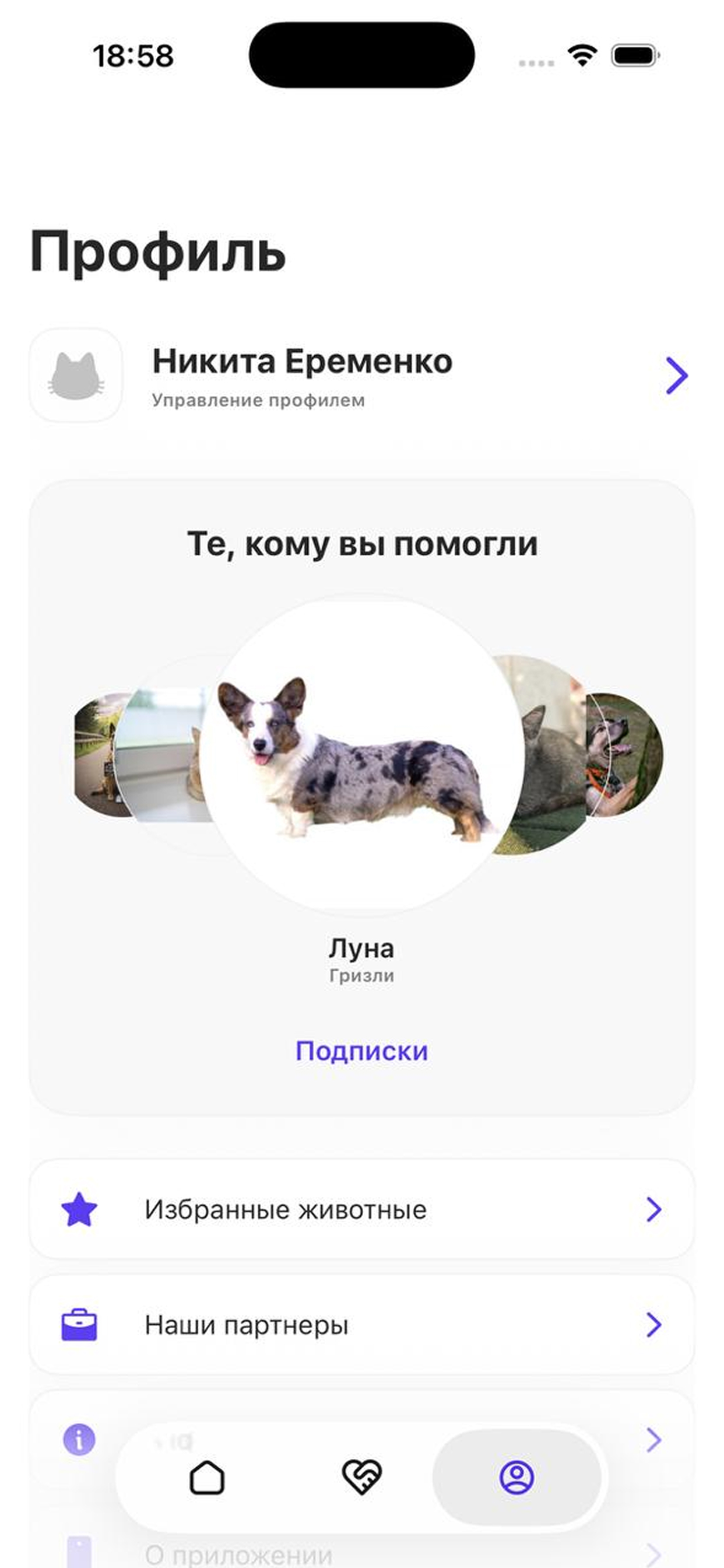 Тоша - Помощь приютам