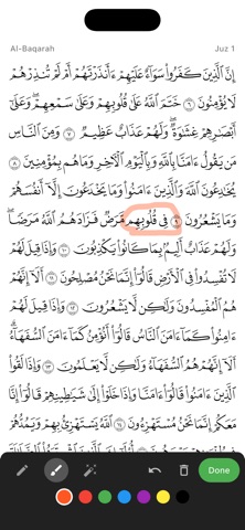 Quran and Tafsir iPhone screenshot