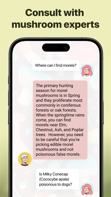 Picture Mushroom: Identifier screenshot-4