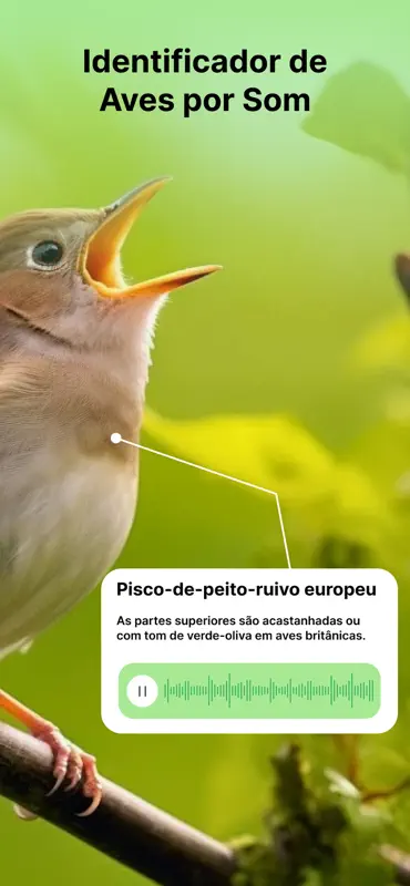 Bird Sounds Identifier Call ID screenshot 2 of 6