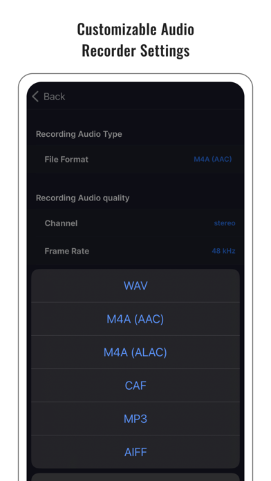 Audio Noise Reducer & Recorder iPhone screenshot 6 - Music app
