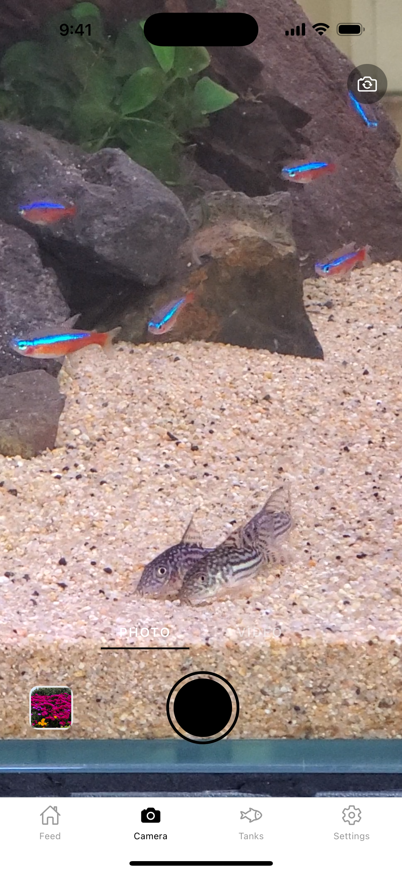 Aquasnap: Aquarium Fish Care