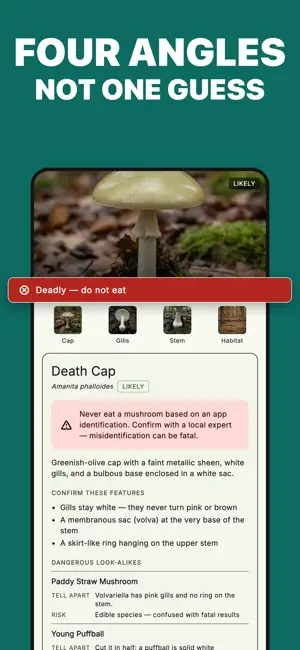 Mycoscout: Mushroom Identifier screenshot 2