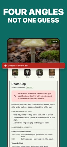 Mycoscout: Mushroom Identifier Screenshot 2 of 5