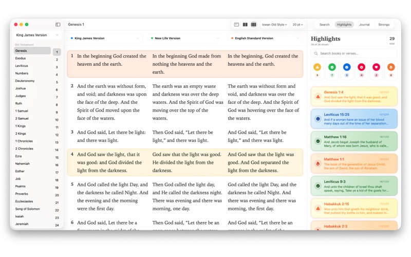 BibleDesk app screenshot 3