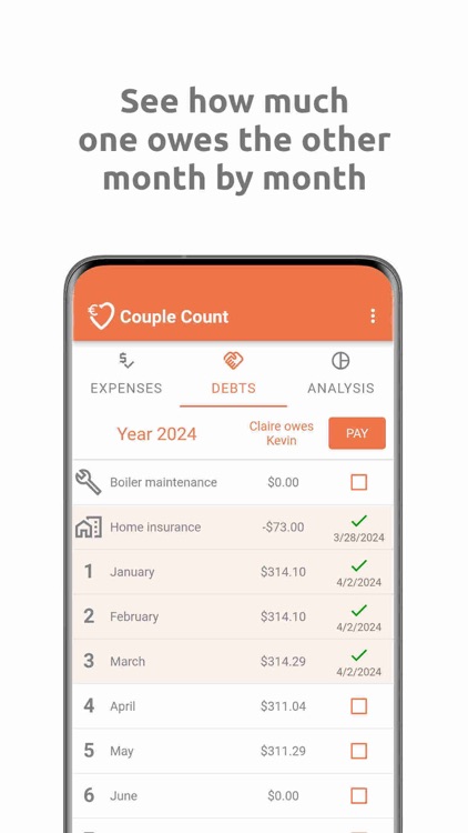 Couple Count - couple expenses