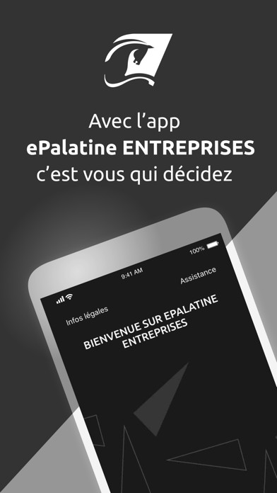 ePalatine Entreprises Screenshot