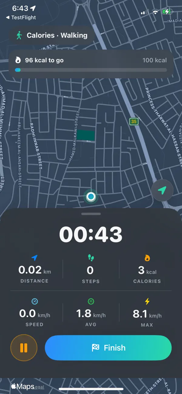 Screenshot #3 pour PureStep Tracker