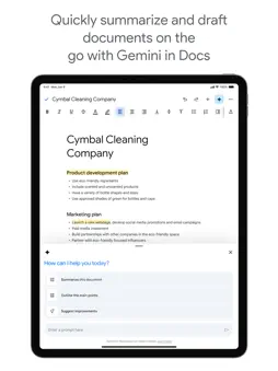 Google Docs screenshot 8
