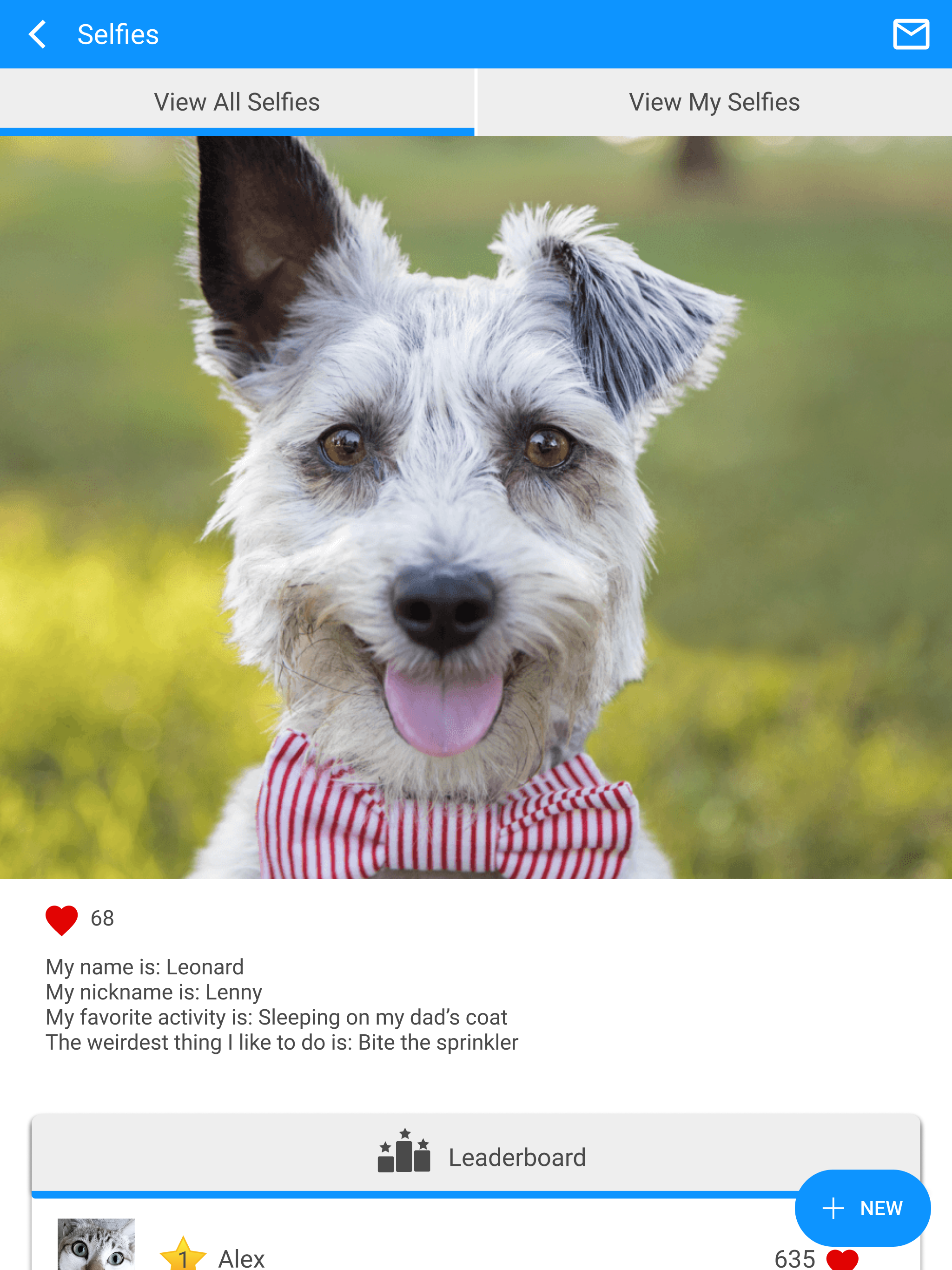 Estero Animal Hospital