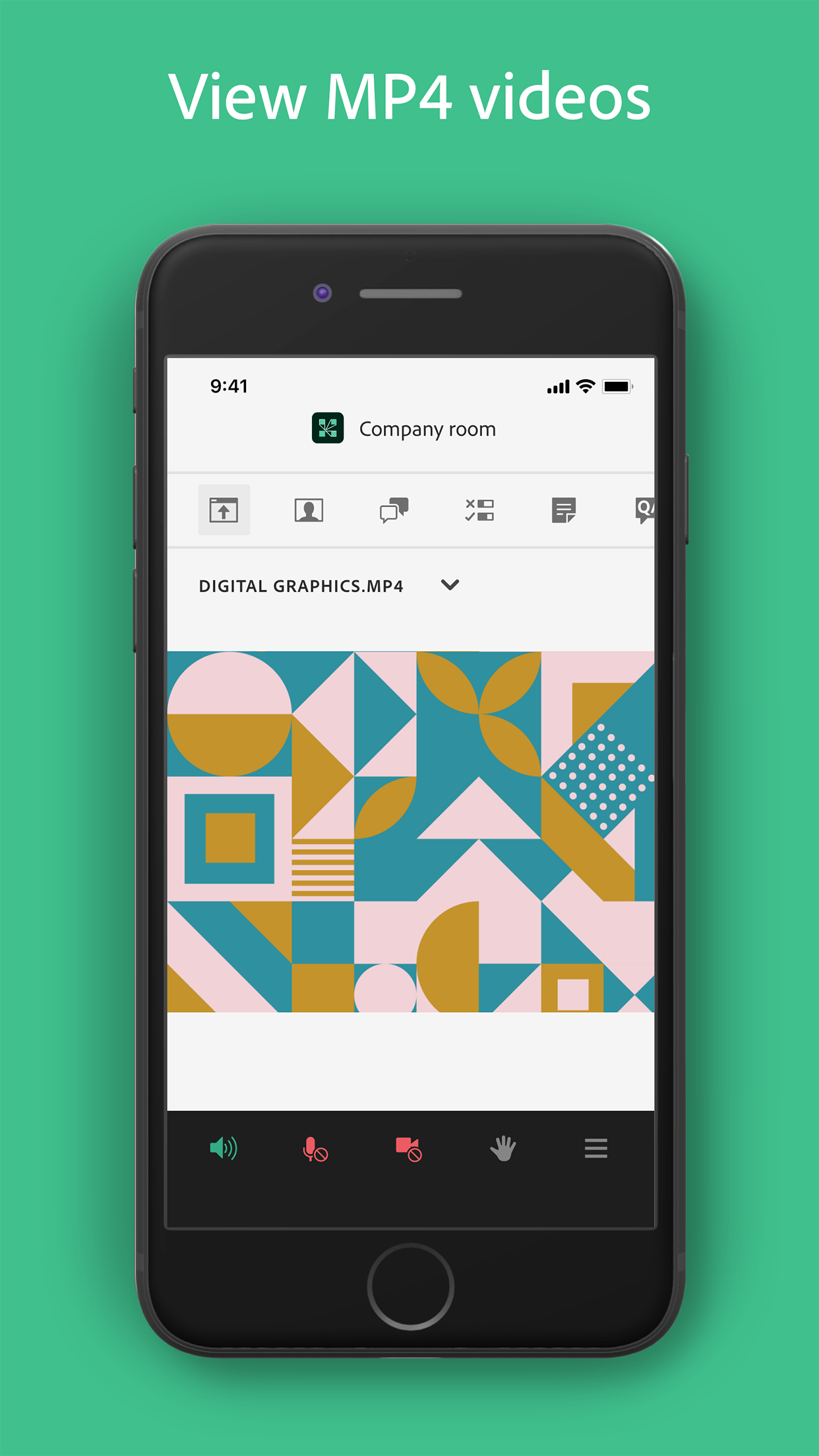 Adobe Connect screenshot 2
