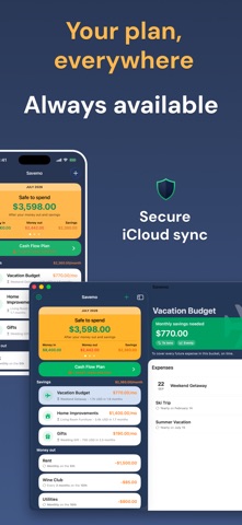 Money Manager, Planner: Savemo screenshot
