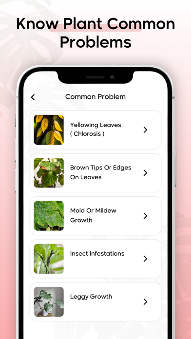 Ai Plant Identifire Plant Care Screenshot