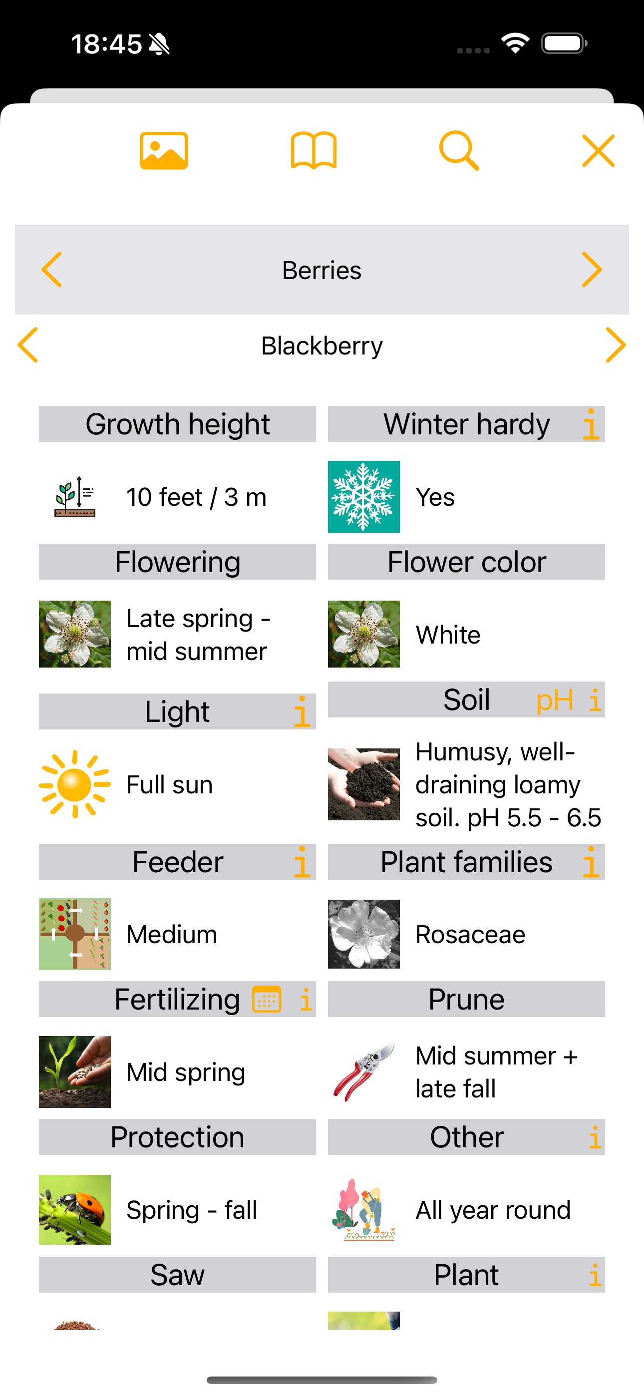 Mein Garten Tagebuch