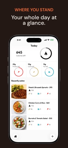 AI Calorie Counter: MyPlate screenshot