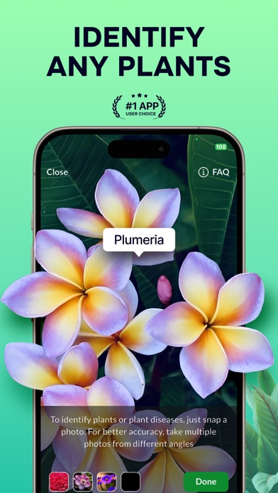 Plant Identifier: Nature ID AI Screenshot