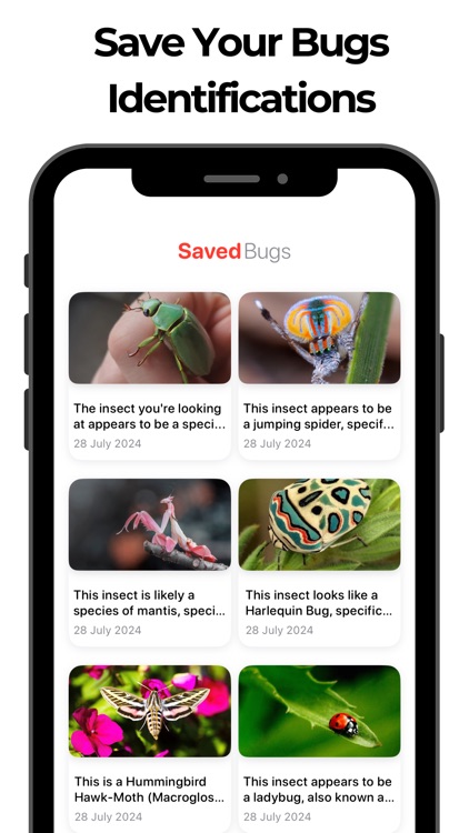 Bug Identifier & Insect Id