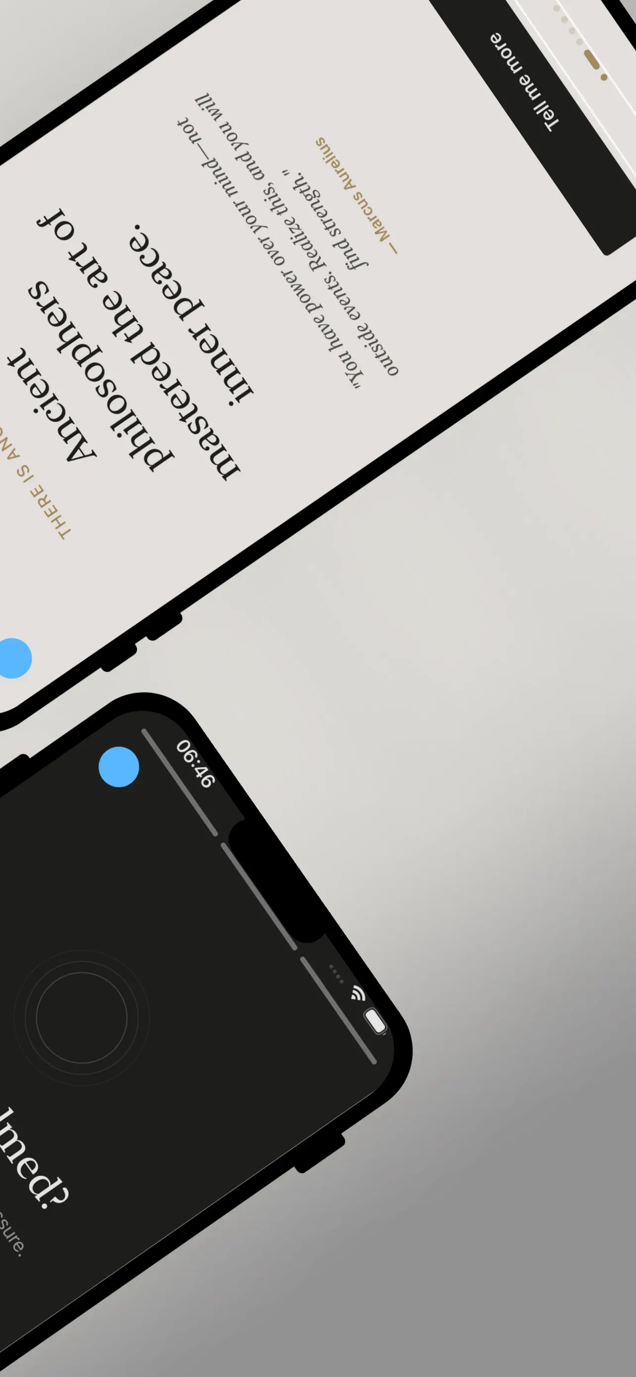 #2. Stoic Wisdoms - Daily Quotes (iOS) De: Wes Thomson