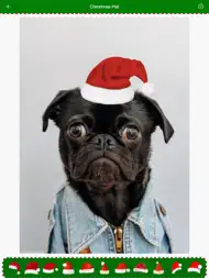 圣诞帽 - 给照片添加圣诞帽Christmas Hat ipad bilder 3