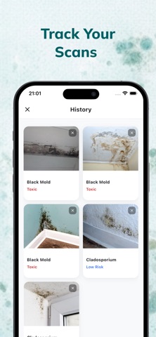 Mold Identifier: AI Inspector Screenshot 4 of 4
