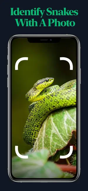 Snake Identifier screenshot 1
