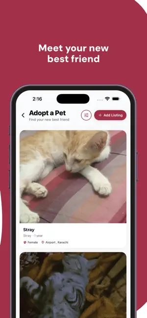 Paltuu screenshot 4