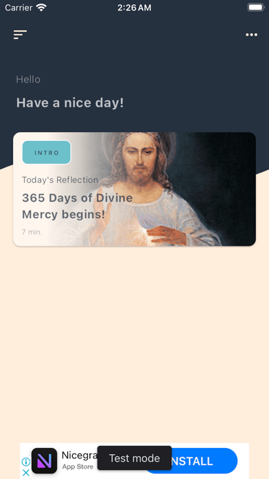 Divine Mercy Reflections Screenshot