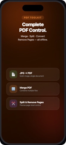 MediaMorph: PDF Converter screenshot