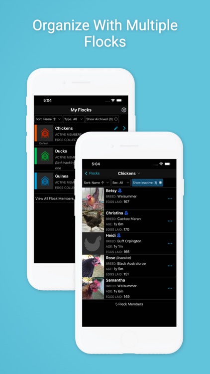 Flockstar screenshot-3