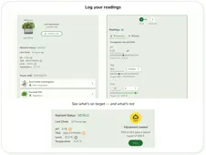 Midana 2