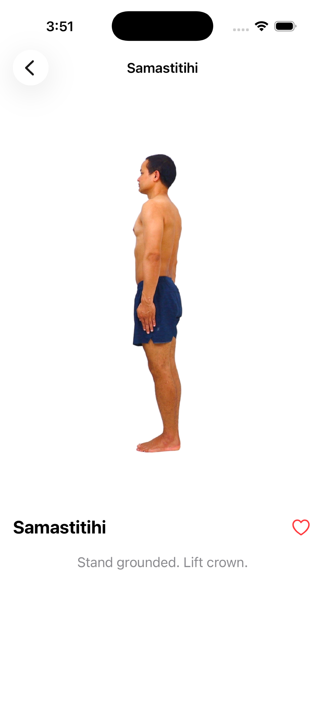 Ashtanga Yoga with Viru screenshot 3