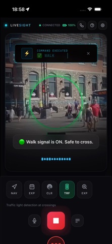 LiveSight - AI Navigation Screenshot 8 of 10