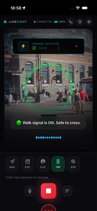 LiveSight - AI Navigation Screenshot 8 of 10