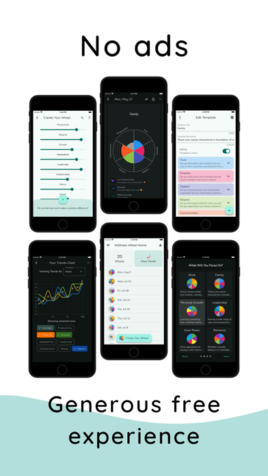 Wellness Wheel - Life Tracking Screenshot