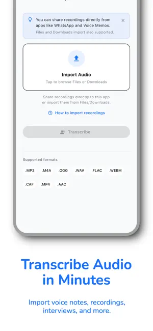 Buzz Captions & Translation screenshot 4