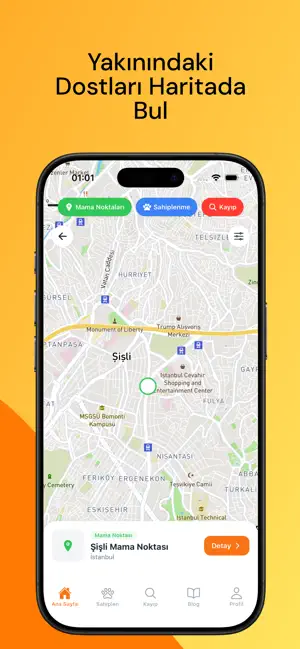 CatPet: Hayvansever Topluluğu screenshot 4