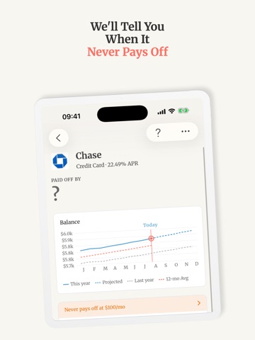 PaidOff: Debt Tracker iPad screenshot