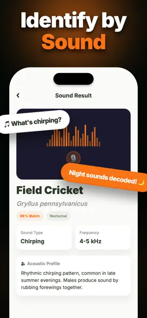 WhatBug: Insect Identifier screenshot 3