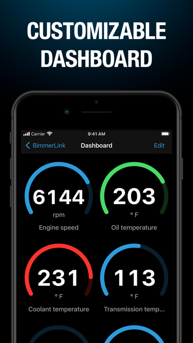 BimmerLink for BMW and MINI Screenshot
