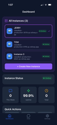 OneClaw - Personal AI Buddy iPhone screenshot