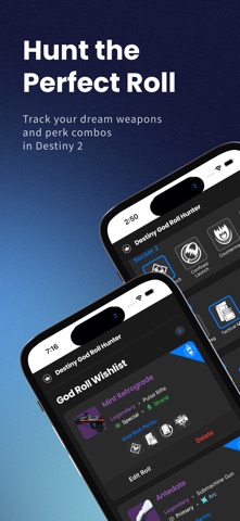 Destiny God Roll Hunter screenshot